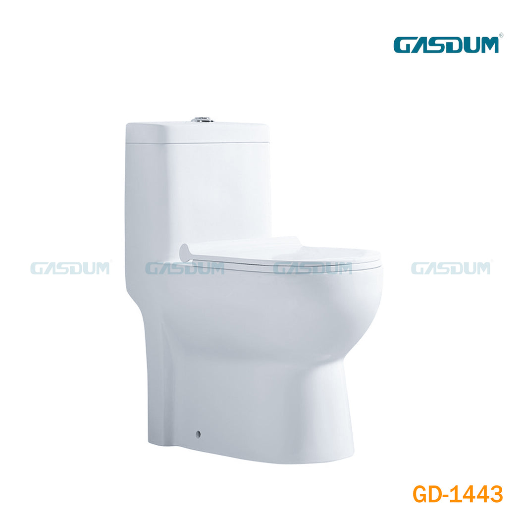 GASDUM™ ONE PIECE COMMODE GD-1443