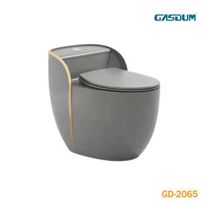 GASDUM™ ONE PIECE COMMODE GD-2065